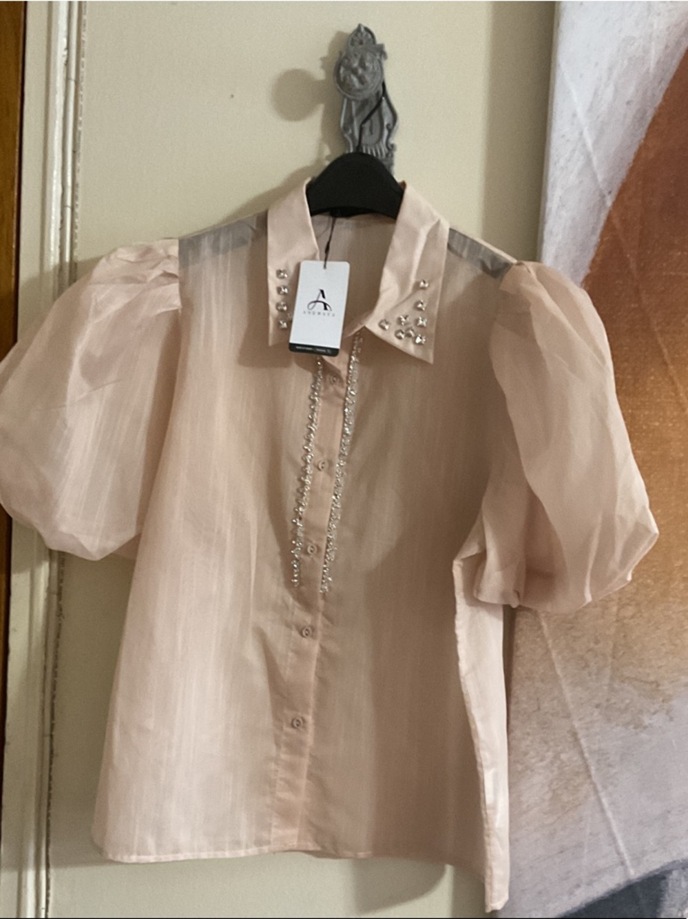 Sheer Puff-Sleeve Blouse with Crystal-Trim Collar - Blush